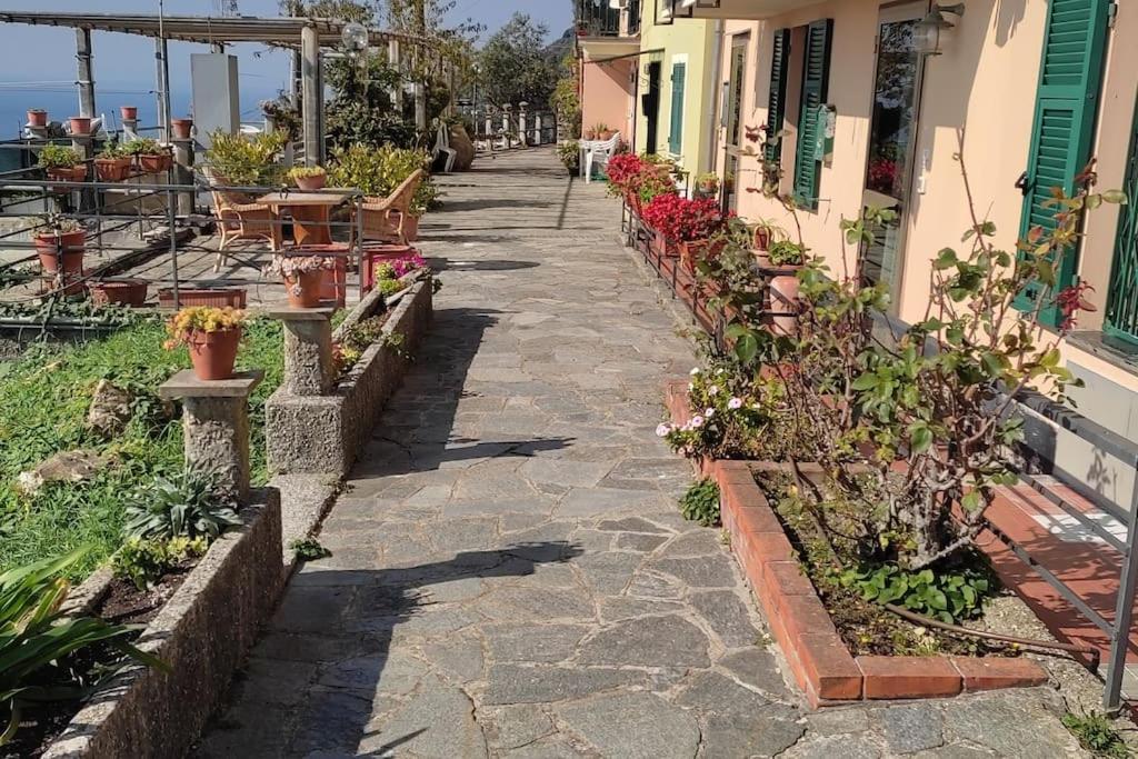 In Scia Costa Apartman Bogliasco Kültér fotó