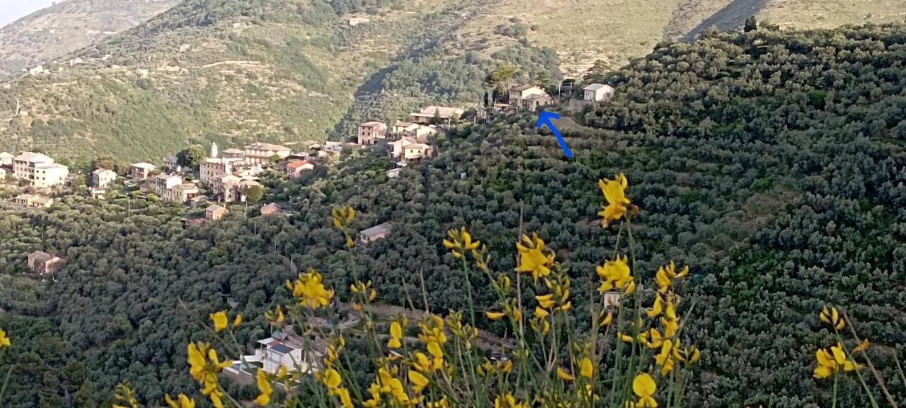 In Scia Costa Apartman Bogliasco Kültér fotó